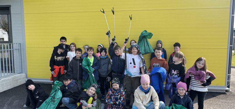 3c Flurreinigungsaktion in Leonding